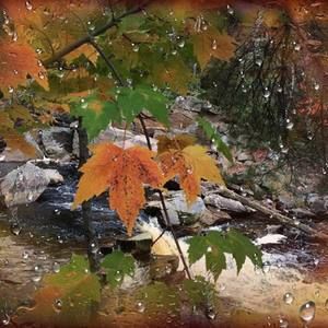 Meet your Posher, Irina